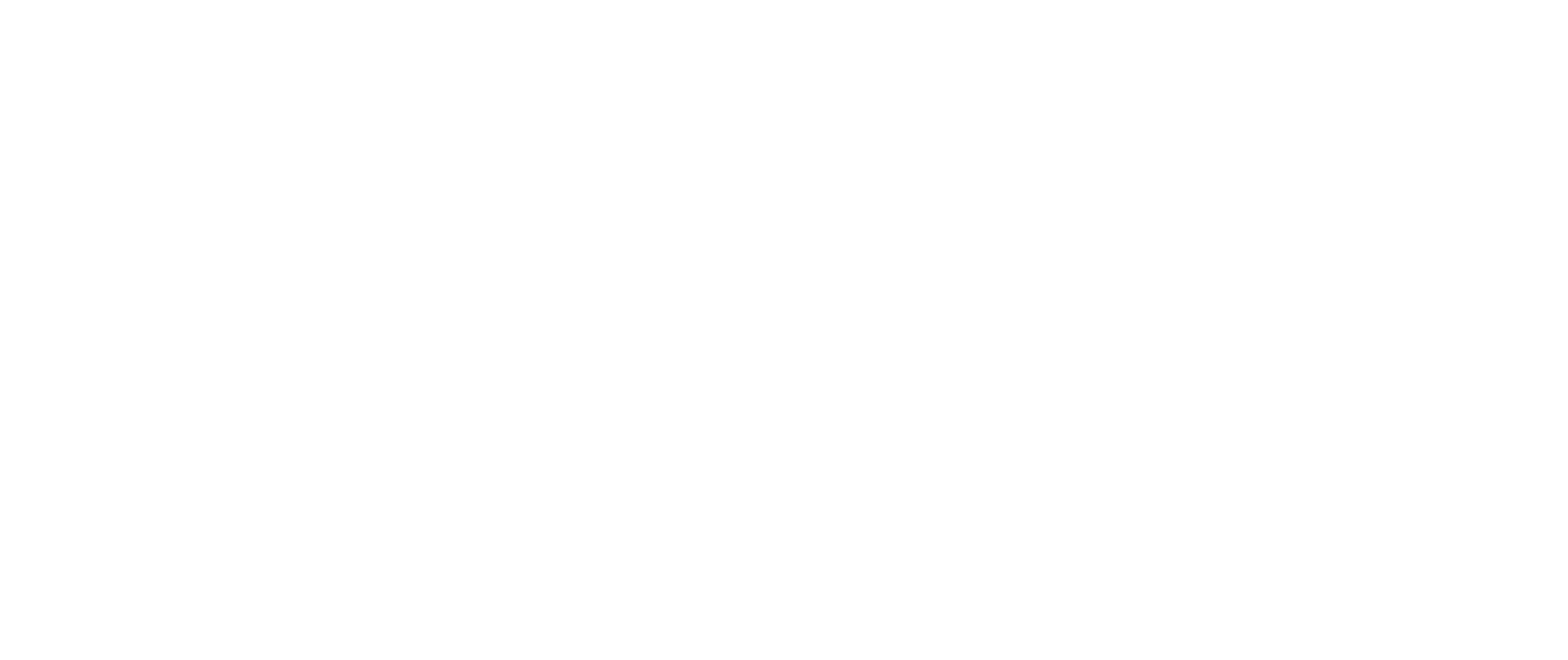 logo light